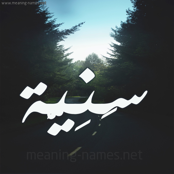 شكل 19 صوره طريق بين الشجر بخط رقعة صورة اسم سَنِيَّة SANEIAH شكل 19 صوره طريق بين الشجر بخط رقعة صورة اسم سَنِيَّة SANEIAH