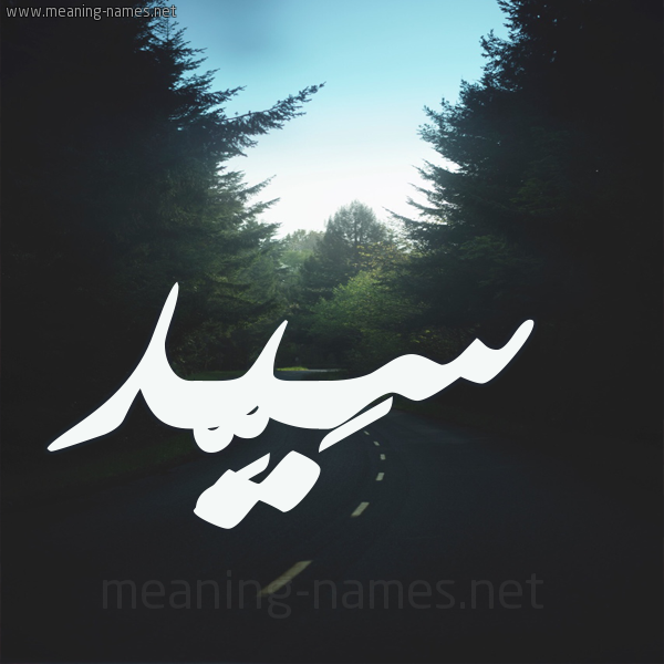 شكل 19 صوره طريق بين الشجر بخط رقعة صورة اسم سَيِّد SAIED شكل 19 صوره طريق بين الشجر بخط رقعة صورة اسم سَيِّد SAIED