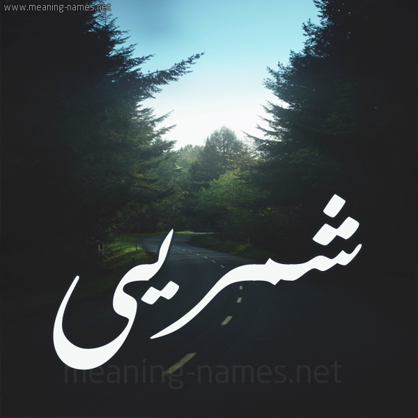 شكل 19 صوره طريق بين الشجر بخط رقعة صورة اسم شمريى Shamri