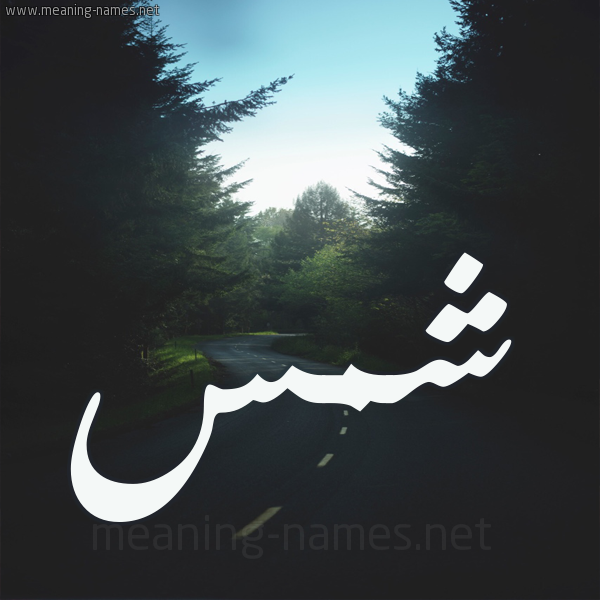 شكل 19 صوره طريق بين الشجر بخط رقعة صورة اسم شمس Shams