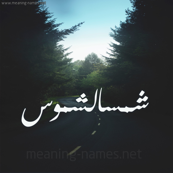 شكل 19 صوره طريق بين الشجر بخط رقعة