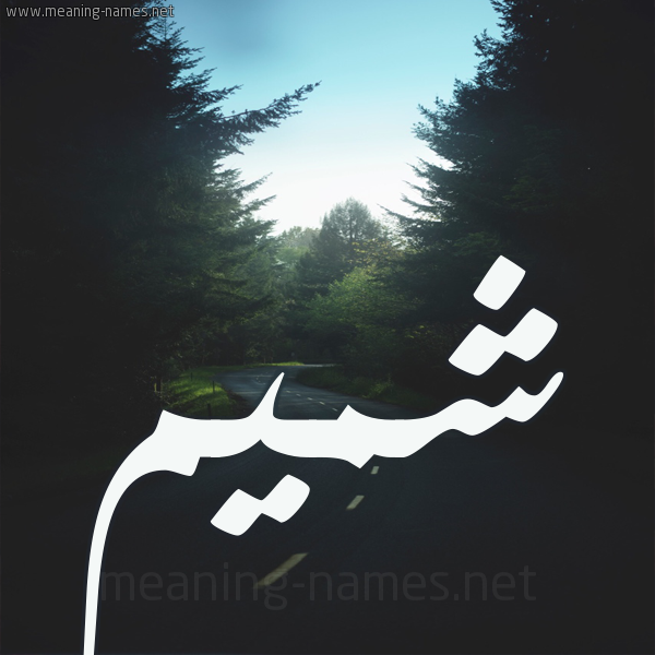 شكل 19 صوره طريق بين الشجر بخط رقعة صورة اسم شميم Shmym