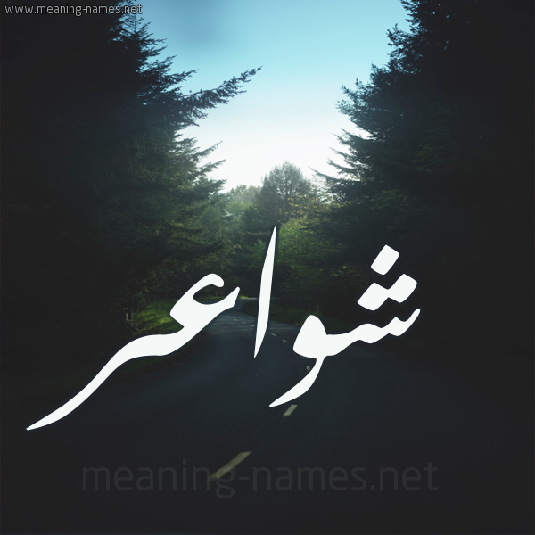 شكل 19 صوره طريق بين الشجر بخط رقعة صورة اسم شواعر Shwa'r