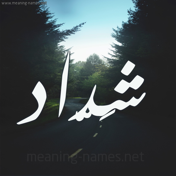 شكل 19 صوره طريق بين الشجر بخط رقعة صورة اسم شَدّاد Shdad