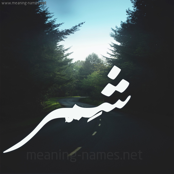 شكل 19 صوره طريق بين الشجر بخط رقعة صورة اسم شَمَّر SHAMAR