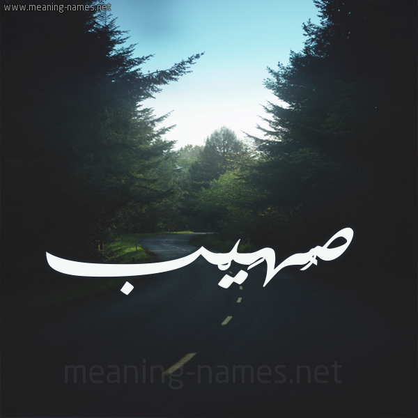 شكل 19 صوره طريق بين الشجر بخط رقعة صورة اسم صُهَيْب SOHAIB