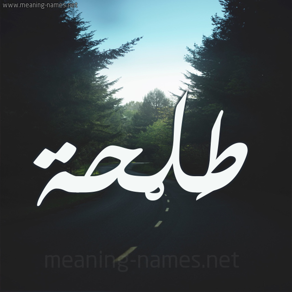 شكل 19 صوره طريق بين الشجر بخط رقعة صورة اسم طَلْحة Talha