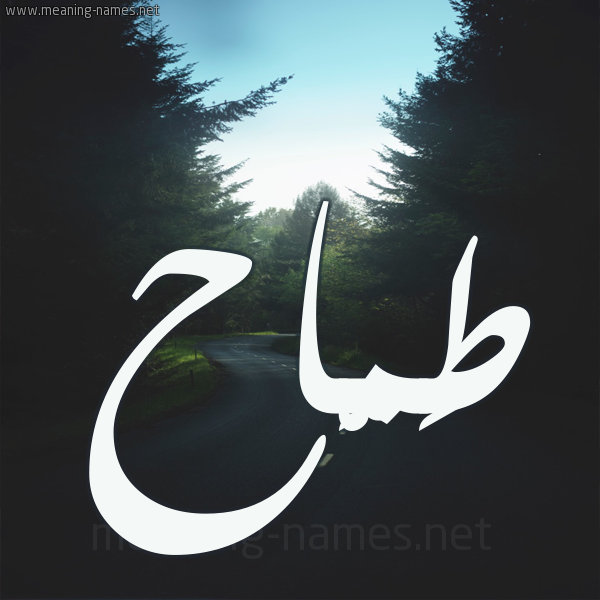 شكل 19 صوره طريق بين الشجر بخط رقعة صورة اسم طَمَّاح TAMAAH شكل 19 صوره طريق بين الشجر بخط رقعة صورة اسم طَمَّاح TAMAAH