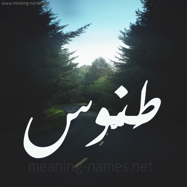 شكل 19 صوره طريق بين الشجر بخط رقعة صورة اسم طَنُّوس TANOOS شكل 19 صوره طريق بين الشجر بخط رقعة صورة اسم طَنُّوس TANOOS