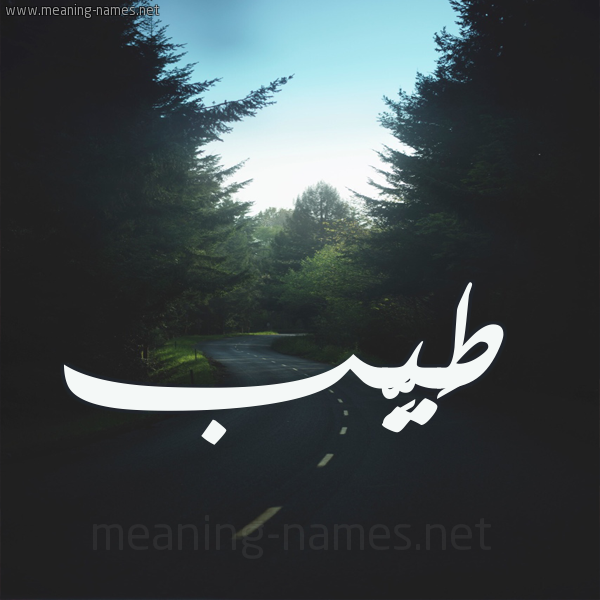 شكل 19 صوره طريق بين الشجر بخط رقعة صورة اسم طَيِّب TAIEB شكل 19 صوره طريق بين الشجر بخط رقعة صورة اسم طَيِّب TAIEB