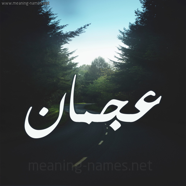 شكل 19 صوره طريق بين الشجر بخط رقعة