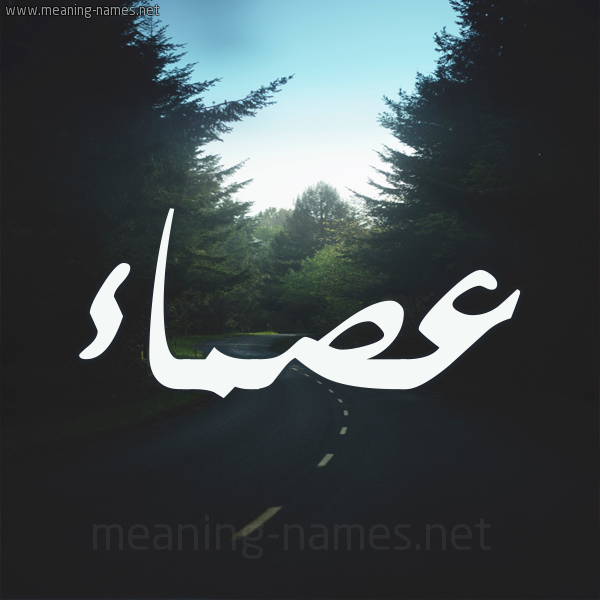شكل 19 صوره طريق بين الشجر بخط رقعة صورة اسم عصماء Asma'a