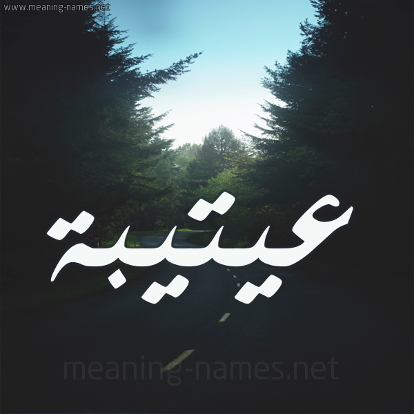 شكل 19 صوره طريق بين الشجر بخط رقعة صورة اسم عيتيبة Otaiba