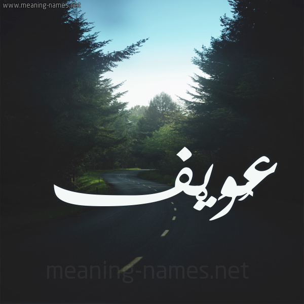 شكل 19 صوره طريق بين الشجر بخط رقعة صورة اسم عُوَيْف AOOAIF