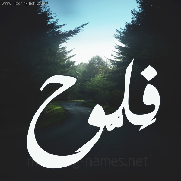 شكل 19 صوره طريق بين الشجر بخط رقعة صورة اسم فَلُّوح FALOOH شكل 19 صوره طريق بين الشجر بخط رقعة صورة اسم فَلُّوح FALOOH