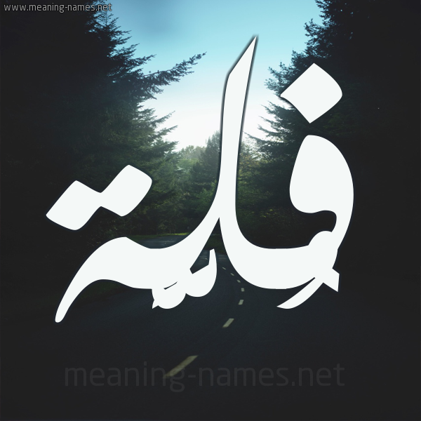 شكل 19 صوره طريق بين الشجر بخط رقعة صورة اسم فُلَّة FOLAH شكل 19 صوره طريق بين الشجر بخط رقعة صورة اسم فُلَّة FOLAH