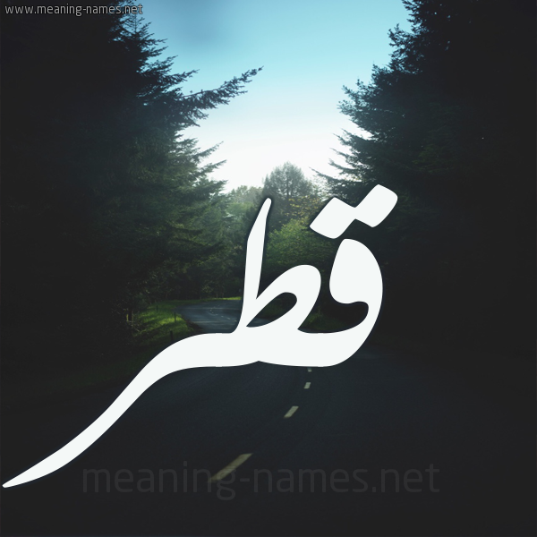 شكل 19 صوره طريق بين الشجر بخط رقعة