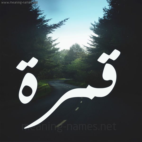 شكل 19 صوره طريق بين الشجر بخط رقعة صورة اسم قمرة Qamra