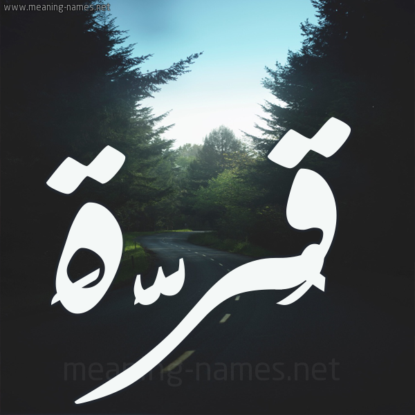 شكل 19 صوره طريق بين الشجر بخط رقعة صورة اسم قُرَّةَ QORAHA شكل 19 صوره طريق بين الشجر بخط رقعة صورة اسم قُرَّةَ QORAHA