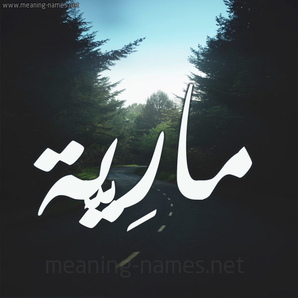 شكل 19 صوره طريق بين الشجر بخط رقعة صورة اسم مارِيَّة MAREIAH شكل 19 صوره طريق بين الشجر بخط رقعة صورة اسم مارِيَّة MAREIAH