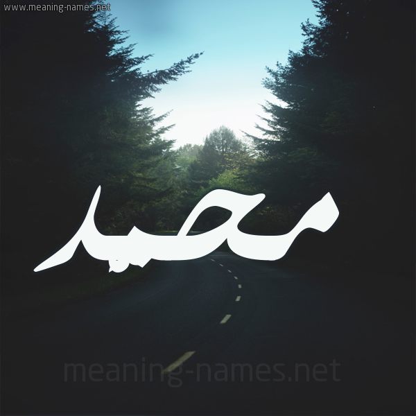 شكل 19 صوره طريق بين الشجر بخط رقعة صورة اسم محمَّد Mohammed