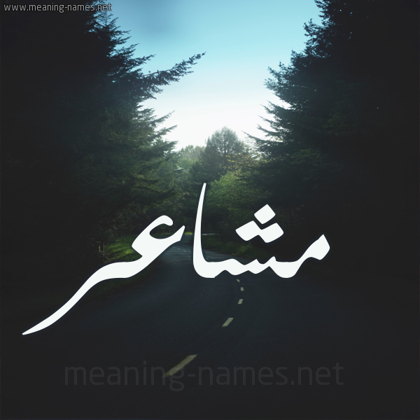شكل 19 صوره طريق بين الشجر بخط رقعة صورة اسم مشاعر Msha'r