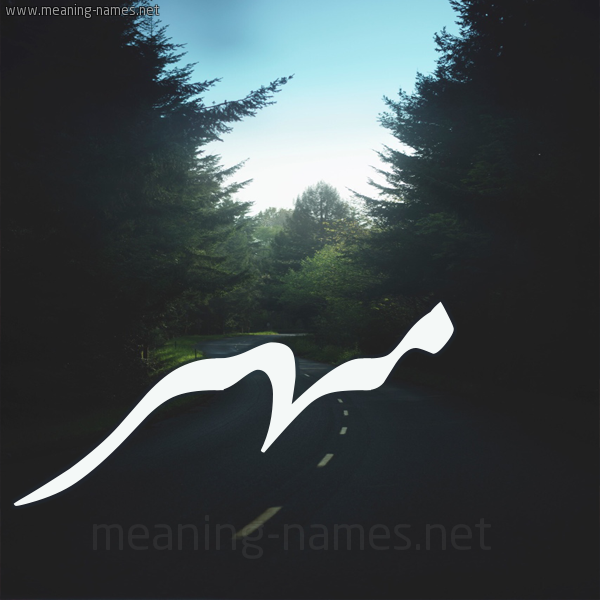 شكل 19 صوره طريق بين الشجر بخط رقعة صورة اسم مهر Mohr