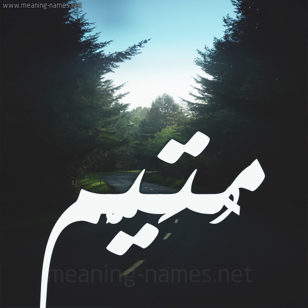 شكل 19 صوره طريق بين الشجر بخط رقعة صورة اسم مُتَيَّم MOTAIAM شكل 19 صوره طريق بين الشجر بخط رقعة صورة اسم مُتَيَّم MOTAIAM