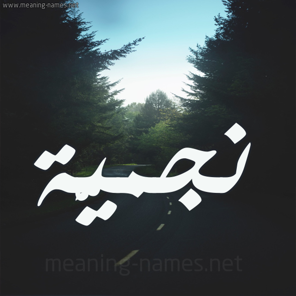 شكل 19 صوره طريق بين الشجر بخط رقعة صورة اسم نجميَّة NGMIAH شكل 19 صوره طريق بين الشجر بخط رقعة صورة اسم نجميَّة NGMIAH