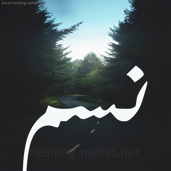 شكل 19 صوره طريق بين الشجر بخط رقعة صورة اسم نسم Nasam