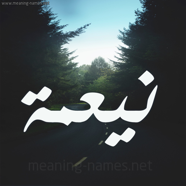 شكل 19 صوره طريق بين الشجر بخط رقعة صورة اسم نيعمة Neamah