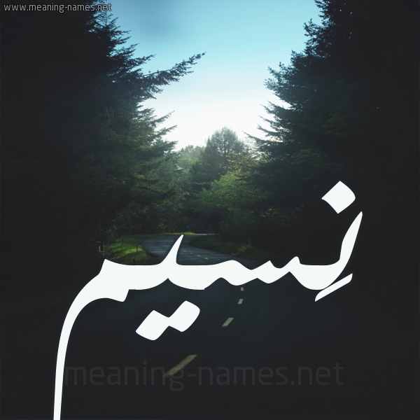 شكل 19 صوره طريق بين الشجر بخط رقعة صورة اسم نَسيم NASIM