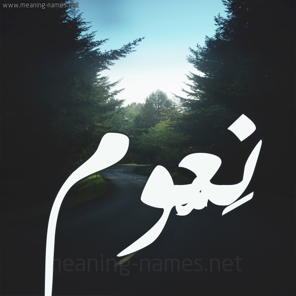 شكل 19 صوره طريق بين الشجر بخط رقعة صورة اسم نَعُّوم NAAOOM شكل 19 صوره طريق بين الشجر بخط رقعة صورة اسم نَعُّوم NAAOOM