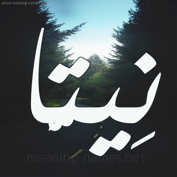 شكل 19 صوره طريق بين الشجر بخط رقعة صورة اسم نِيتَّا NEITAA شكل 19 صوره طريق بين الشجر بخط رقعة صورة اسم نِيتَّا NEITAA