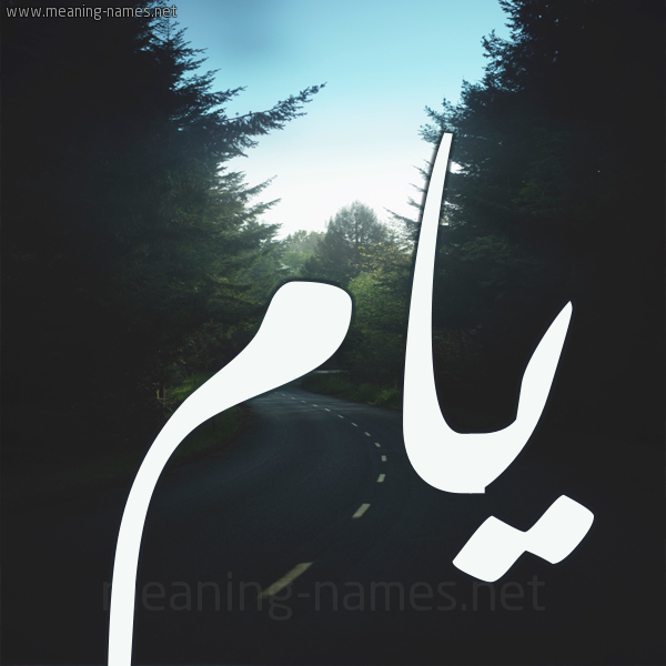 شكل 19 صوره طريق بين الشجر بخط رقعة صورة اسم يام Yam