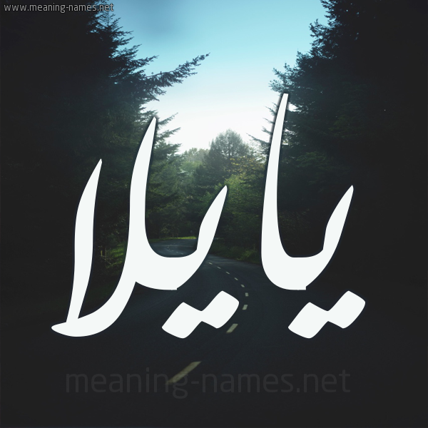 شكل 19 صوره طريق بين الشجر بخط رقعة صورة اسم يايلا Aila