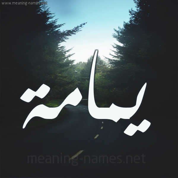 شكل 19 صوره طريق بين الشجر بخط رقعة صورة اسم يمامة Ymamh