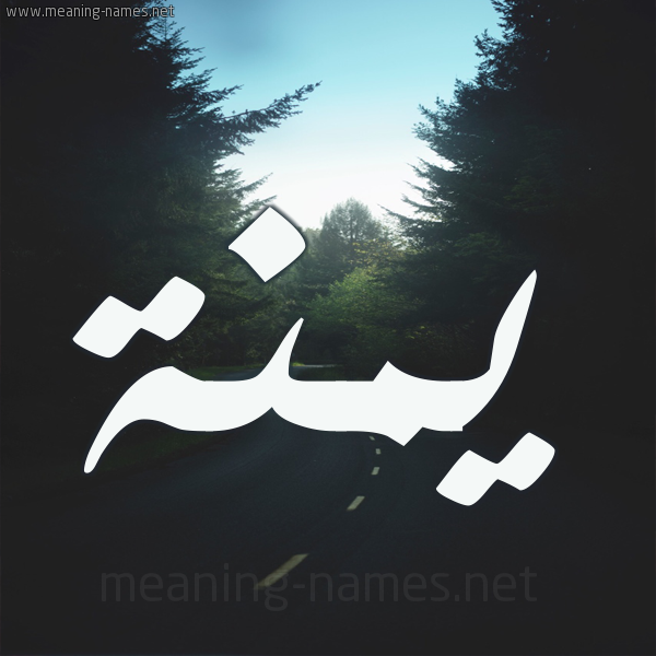 شكل 19 صوره طريق بين الشجر بخط رقعة صورة اسم يمنة Menna