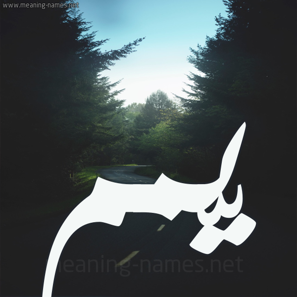 شكل 19 صوره طريق بين الشجر بخط رقعة صورة اسم يّمم Yam