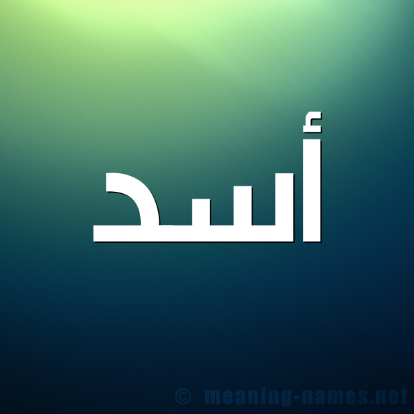 صورة اسم أسد Asd شكل 1 صوره للإسم بخط عريض