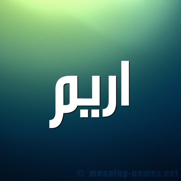 شكل 1 صوره للإسم بخط عريض صورة اسم اريم Irem