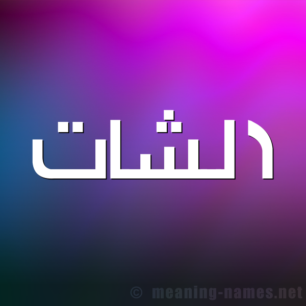 صورة اسم الشات alshat شكل 1 صوره للإسم بخط عريض
