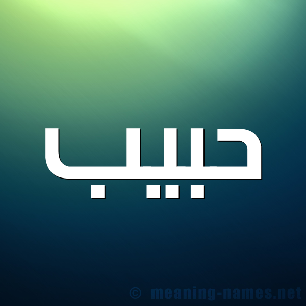 صورة اسم حبيب Habib شكل 1 صوره للإسم بخط عريض