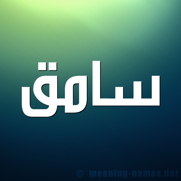 صورة اسم سامق SAMQ شكل 1 صوره للإسم بخط عريض