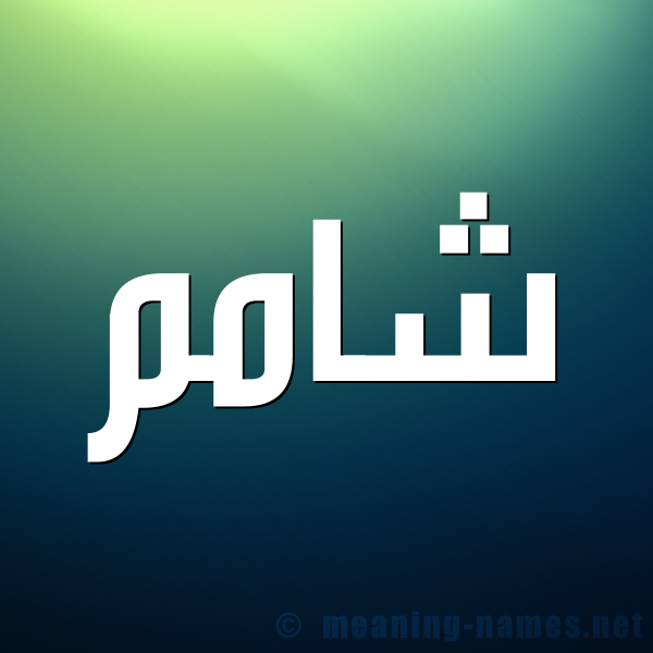 صورة اسم شامم Sham شكل 1 صوره للإسم بخط عريض