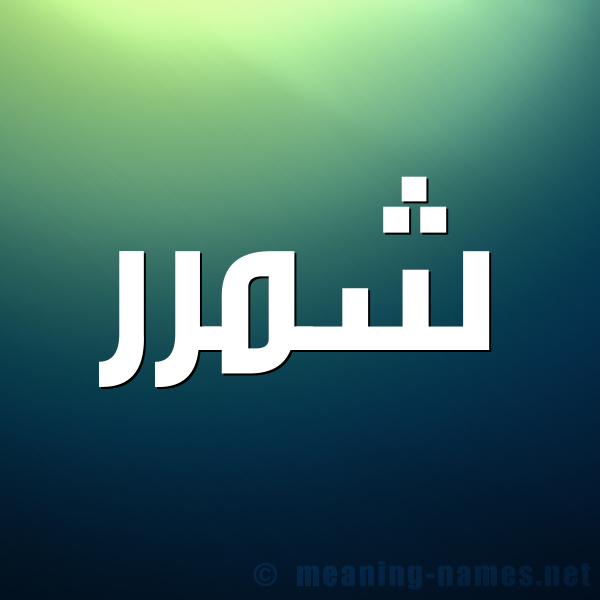 صورة اسم شمَّرر Shammar شكل 1 صوره للإسم بخط عريض