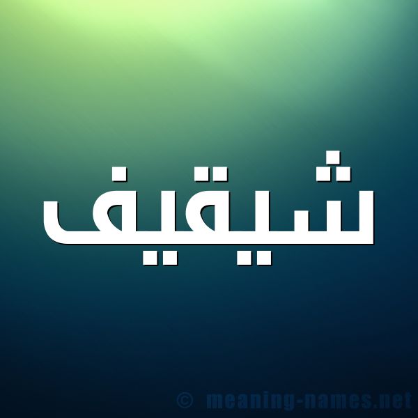 صورة اسم شيقيف Shaqif شكل 1 صوره للإسم بخط عريض