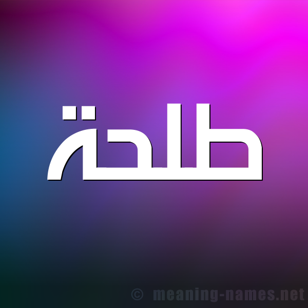 شكل 1 صوره للإسم بخط عريض صورة اسم طَلْحة Talha