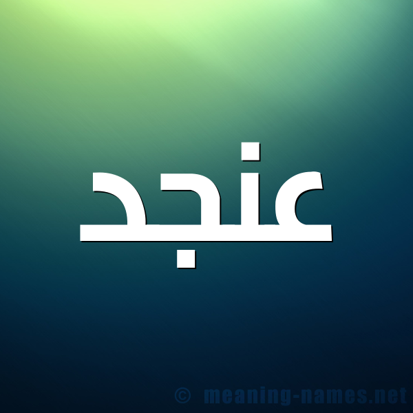 صورة اسم عنجد Anjd شكل 1 صوره للإسم بخط عريض