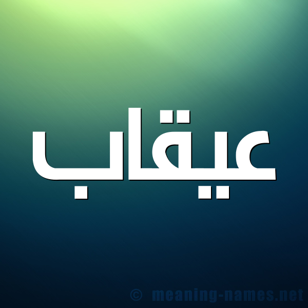 صورة اسم عُيقاب Oqab شكل 1 صوره للإسم بخط عريض